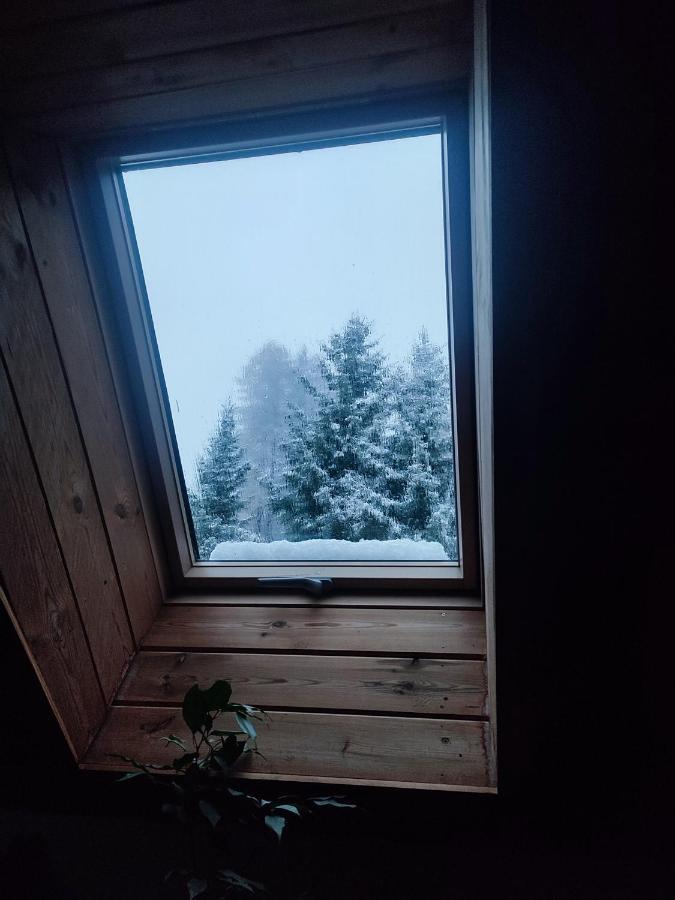 Wiking Lägenhet Szklarska Poręba Exteriör bild