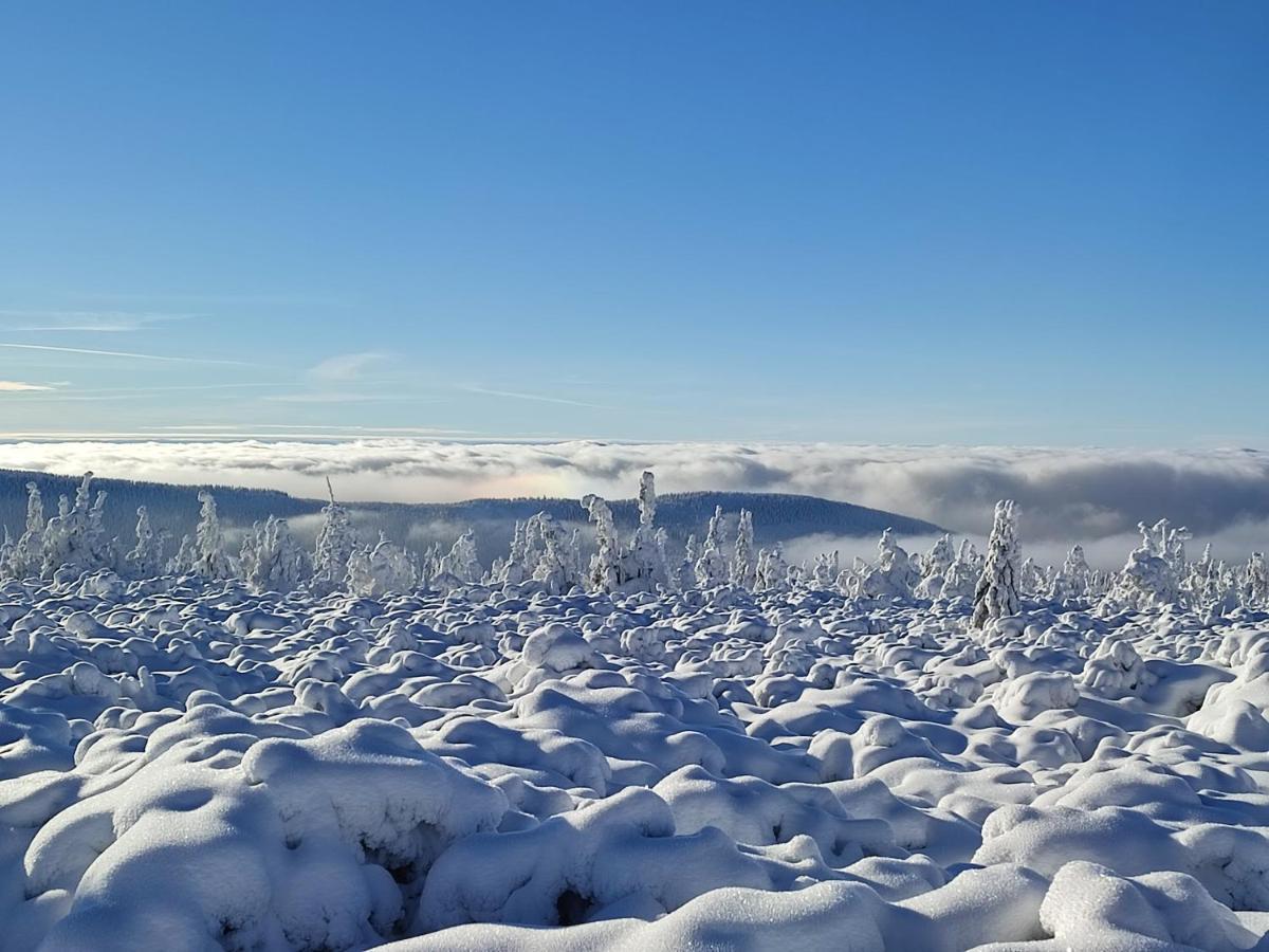 Wiking Lägenhet Szklarska Poręba Exteriör bild