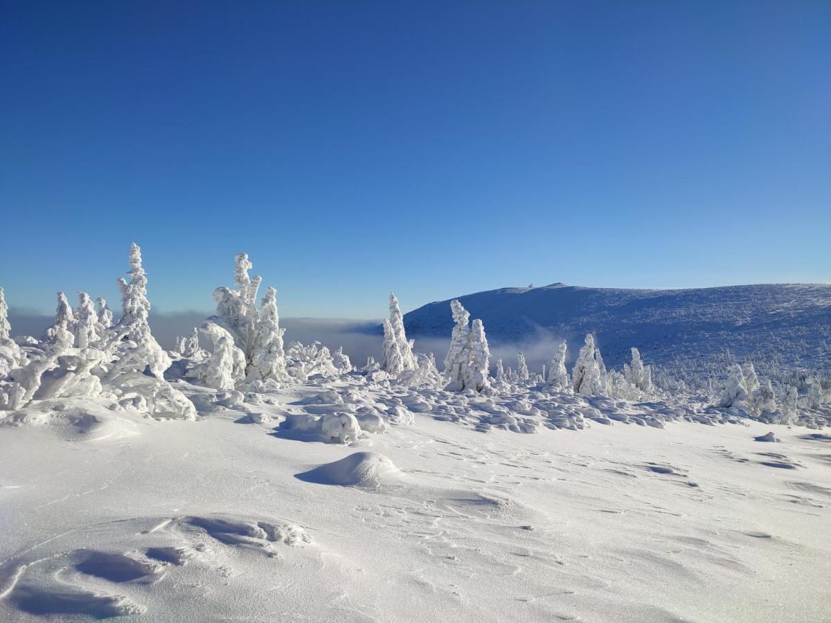 Wiking Lägenhet Szklarska Poręba Exteriör bild