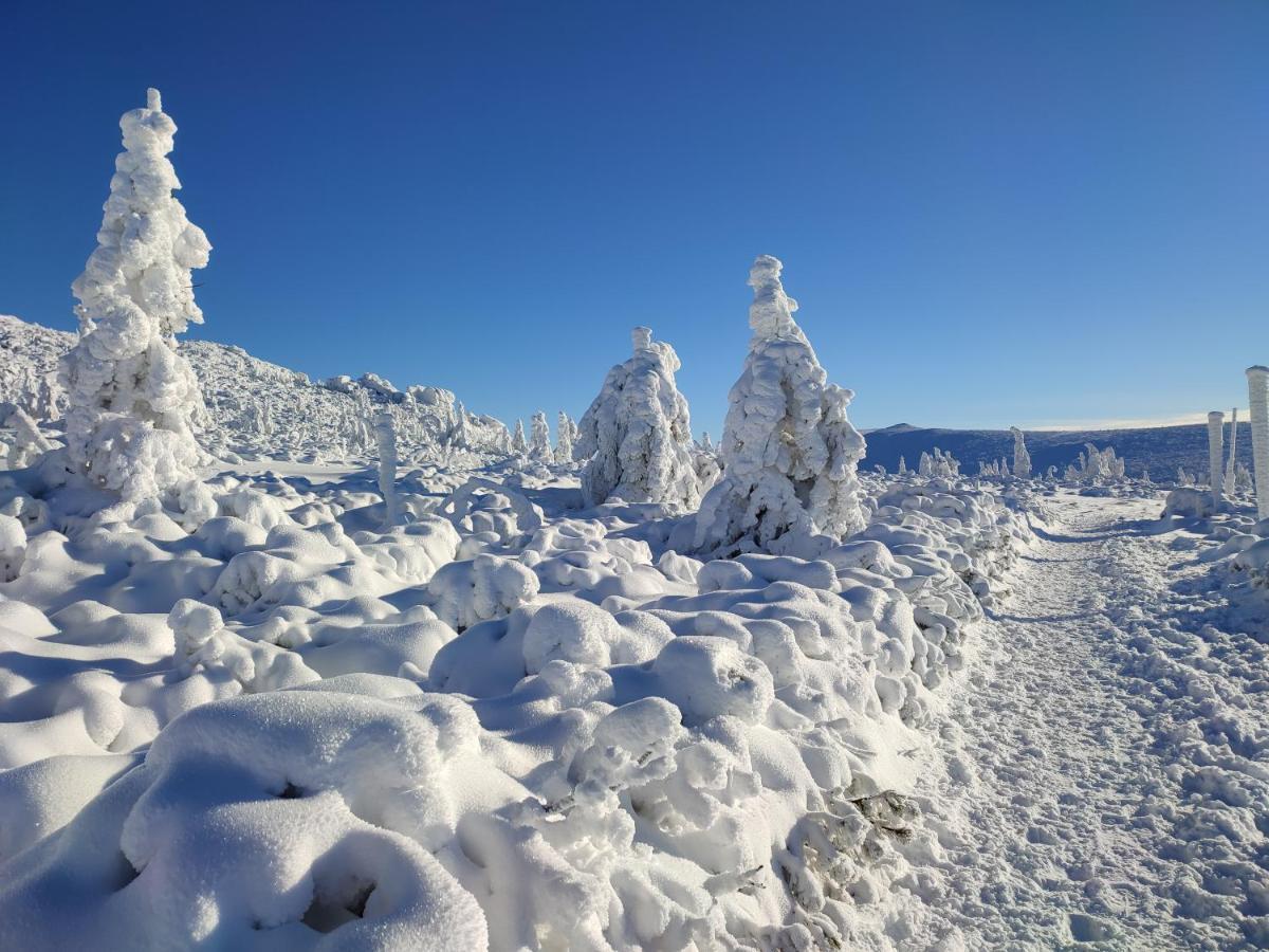 Wiking Lägenhet Szklarska Poręba Exteriör bild